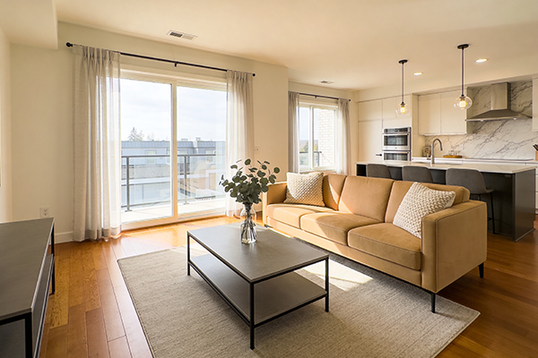 Property-Management-&-Leasing-Aveexha